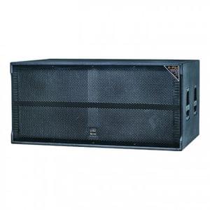 1621074588593-A Plus R-218 Loudspeaker System.jpg